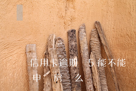 信用卡逾期連5能不能貸款(有五次逾期可以申請房貸么)