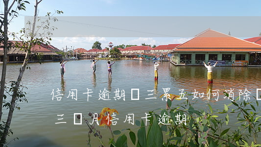 信用卡逾期連三累五如何消除(連續(xù)三個月信用卡逾期)