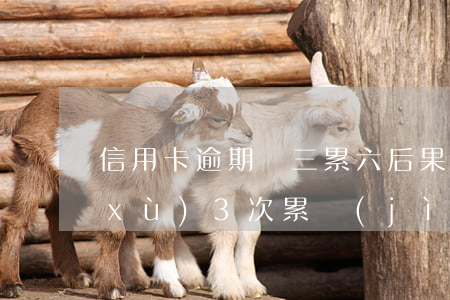信用卡逾期連三累六后果(信用卡逾期連續(xù)3次累計(jì)6次)