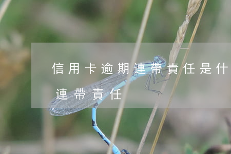 信用卡逾期連帶責任是什么意思（信用卡逾期連帶責任）