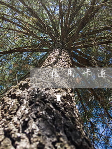 信用卡逾期連續(xù)3次累計6次(兩年內(nèi)信用卡逾期7次)