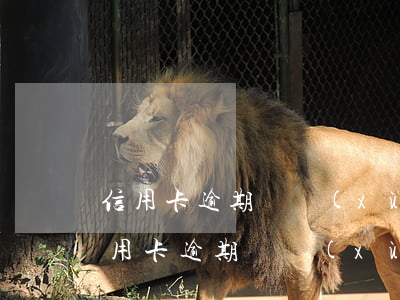 信用卡逾期連續(xù)六期了會怎么樣(信用卡逾期連續(xù)六期了會怎么樣嗎)