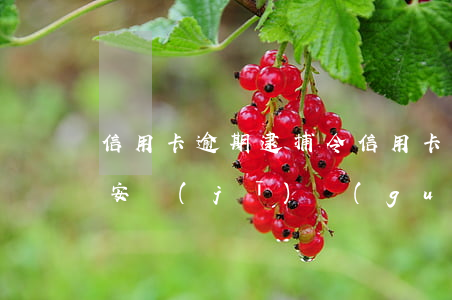 信用卡逾期逮捕令 信用卡逾期逮捕令會被公安機(jī)關(guān)抓?
