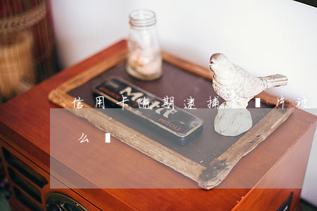 信用卡逾期逮捕令圖片(被抓了信用卡逾期怎么辦)
