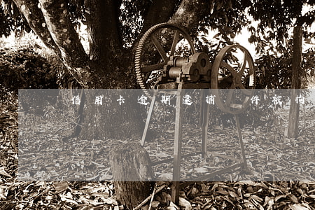 信用卡逾期逮捕條件(被拘役信用卡逾期怎么辦)