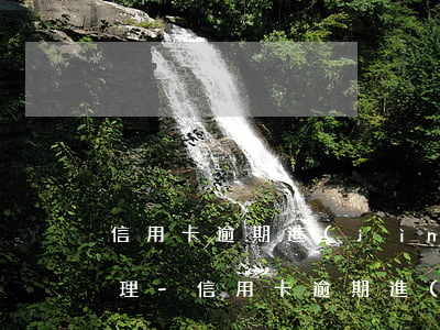 信用卡逾期進(jìn)入個人征信怎么處理-信用卡逾期進(jìn)入個人征信怎么處理的