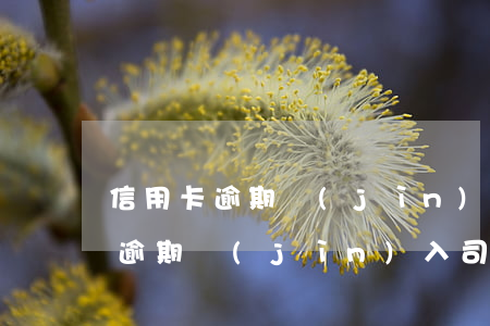 信用卡逾期進(jìn)入法律程序(信用卡逾期進(jìn)入司法程序怎么辦)
