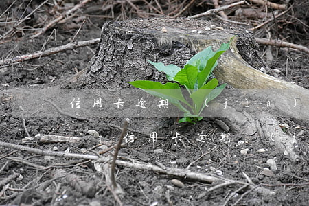 信用卡逾期進(jìn)入訴訟階段了怎么辦-信用卡逾期進(jìn)入訴訟階段了怎么辦理