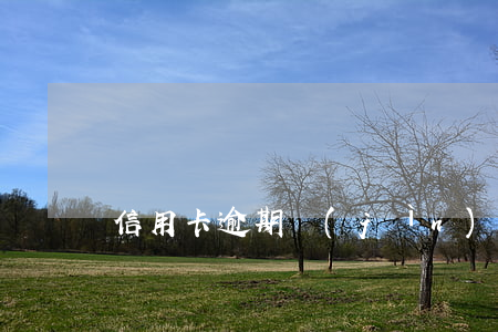 信用卡逾期進(jìn)入訴訟階段怎么辦
