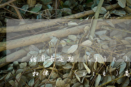 信用卡逾期進(jìn)入訴訟階段銀行叫和律師協(xié)商-信用卡逾期進(jìn)入訴訟階段銀行叫和律師協(xié)商嗎