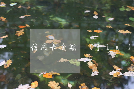 信用卡逾期進(jìn)入銀行壞賬