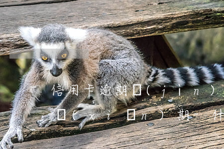 信用卡逾期進(jìn)入風(fēng)險(xiǎn)期-什么是信用卡嚴(yán)重逾期