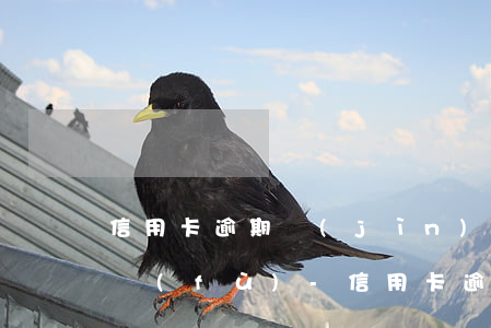 信用卡逾期進(jìn)入黑名單多久能恢復(fù)-信用卡逾期進(jìn)入黑名單多久能恢復(fù)正常