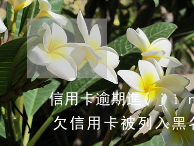 信用卡逾期進(jìn)入黑名單怎么辦-欠信用卡被列入黑名單了怎么辦?