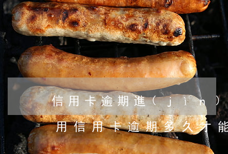 信用卡逾期進(jìn)入黑名單怎么辦6(用信用卡逾期多久才能成黑名單)