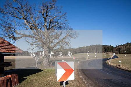 信用卡逾期進(jìn)省行
