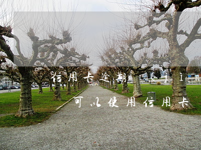 信用卡逾期進(jìn)黑戶影響什么(黑戶還可以使用信用卡嗎?)
