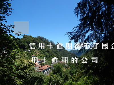 信用卡逾期進不了國企嗎(有沒有專門處理信用卡逾期的公司)