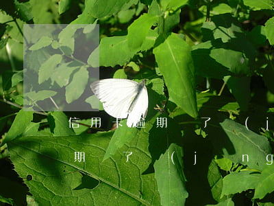 信用卡逾期進了經(jīng)偵(信用卡逾期進了經(jīng)偵怎么辦)