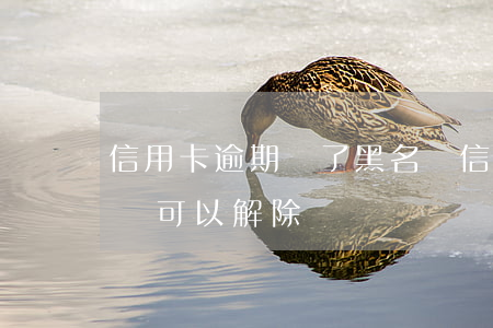 信用卡逾期進了黑名單(信用卡逾期進了黑名單可以解除嗎)