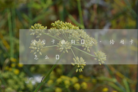 信用卡逾期進入-信用卡逾期進入司法程序怎么辦