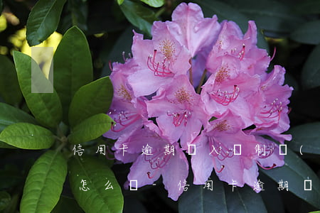 信用卡逾期進入強制執(zhí)行階段會怎么樣-信用卡逾期進入強制執(zhí)行階段會怎么樣嗎