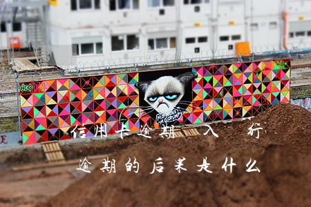 信用卡逾期進入銀行壞賬(貸款逾期與信用卡逾期的后果是什么)