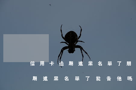 信用卡逾期進黑名單了(朋友用我的信用卡逾期進黑名單了能告他嗎)