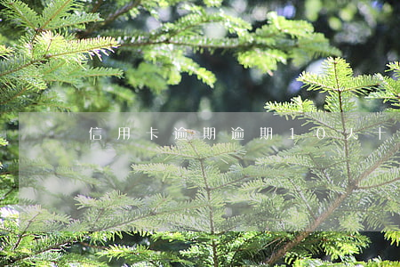 信用卡逾期逾期10天(十多張信用卡逾期)
