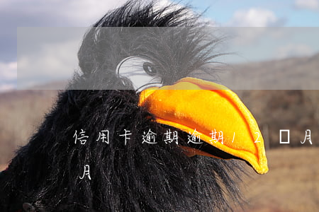 信用卡逾期逾期12個月(信用卡逾期好幾個月)