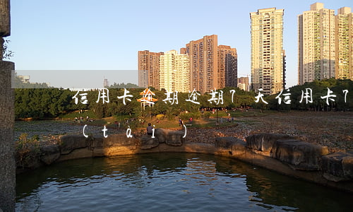 信用卡逾期逾期7天(信用卡7個月逾期狀態(tài))