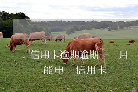 信用卡逾期逾期一個月會怎么算(逾期一個月還能申請信用卡嗎)