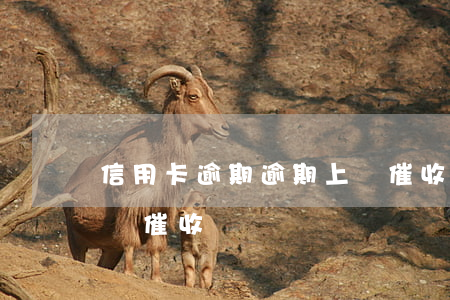 信用卡逾期逾期上門催收(欠銀行信用卡會上門催收嗎)