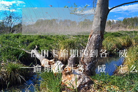 信用卡逾期遇到各種威脅怎么處理-信用卡逾期遇到各種威脅怎么處理呢