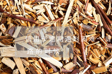 信用卡逾期遇到困难-当信用卡逾期,走投无路的时候