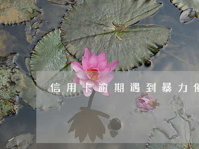 信用卡逾期遇到暴力催收怎么辦