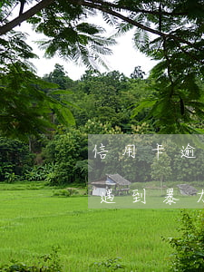信用卡逾期遇到暴力催收怎么辦(信用卡逾期遇到暴力催收怎么辦)