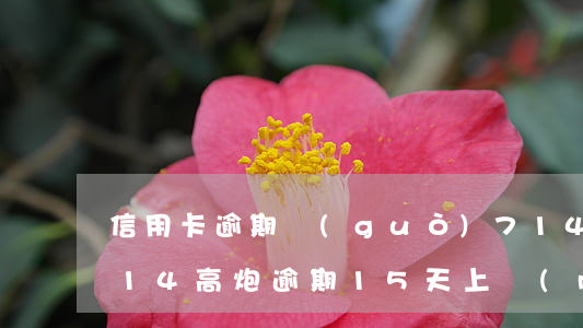 信用卡逾期過(guò)714高炮下款(714高炮逾期15天上門(mén))
