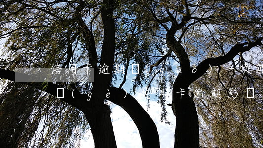 信用卡逾期過(guò)一次能提額嗎(有一個(gè)信用卡逾期,影響另一個(gè)信用卡提額度)