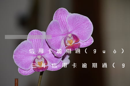 信用卡逾期過(guò)了過(guò)了三年（信用卡逾期過(guò)了過(guò)了三年）