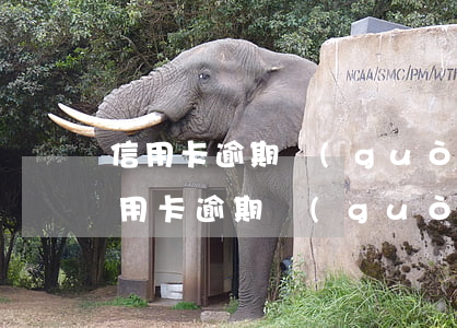 信用卡逾期過(guò)五萬(wàn)(信用卡逾期過(guò)五萬(wàn)一定坐牢嗎)