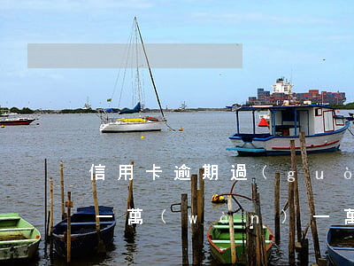 信用卡逾期過(guò)五萬(wàn)還一萬(wàn)(一萬(wàn)元信用卡逾期五年)