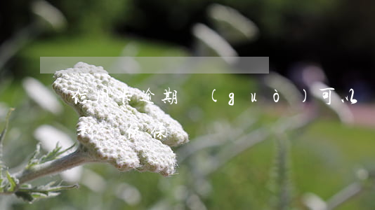 信用卡逾期過(guò)可以辦低保嗎(逾期影響低保嗎)