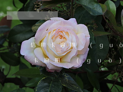 信用卡逾期過(guò)多久消除記錄(信用卡逾期過(guò)多久消除記錄)