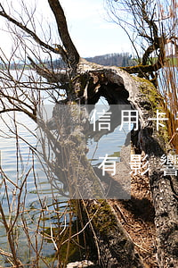 信用卡逾期過(guò)對(duì)貸款有影響嗎(別的貸款逾期會(huì)不會(huì)影響信用卡)