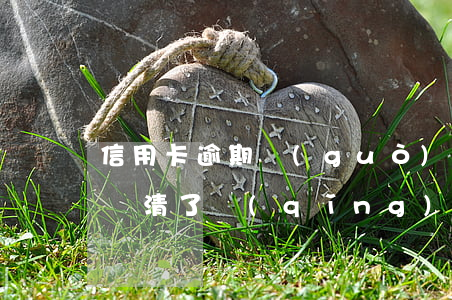 信用卡逾期過(guò)已經(jīng)還清了(請(qǐng)問(wèn)信用卡逾期了,還清了還能使用嗎)