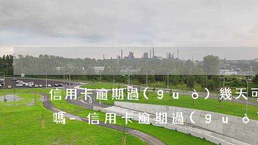 信用卡逾期過(guò)幾天可以找人做掉嗎-信用卡逾期過(guò)幾天可以找人做掉嗎安全嗎