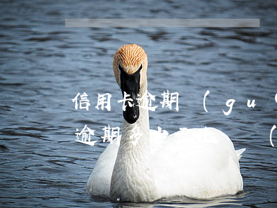 信用卡逾期過(guò)幾天怎么辦(信用卡逾期多少天比較嚴(yán)重?)