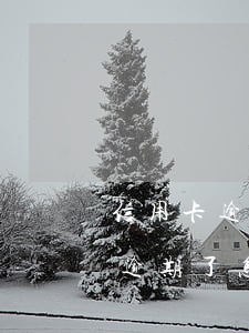 信用卡逾期過(guò)怎么做房貸(房貸卡逾期了怎么辦?)