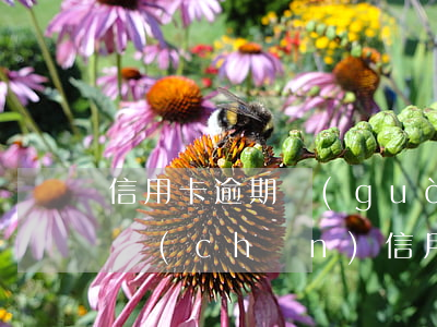 信用卡逾期過(guò)房貸有影響嗎(有房產(chǎn)信用卡逾期了有影響?)